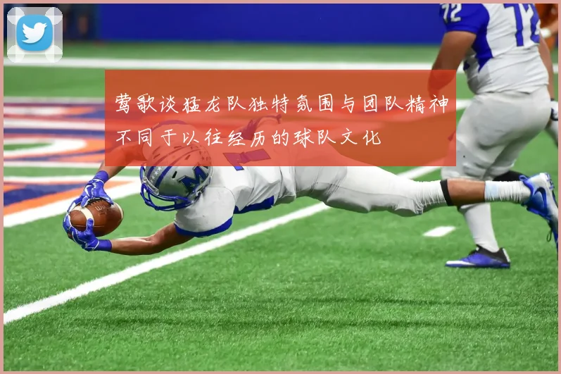 莺歌谈猛龙队独特氛围与团队精神不同于以往经历的球队文化