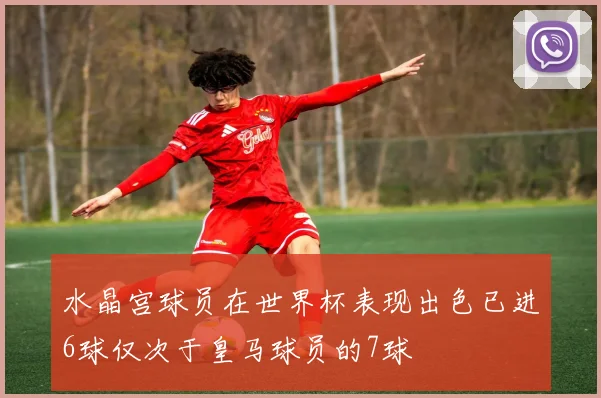 水晶宫球员在世界杯表现出色已进6球仅次于皇马球员的7球
